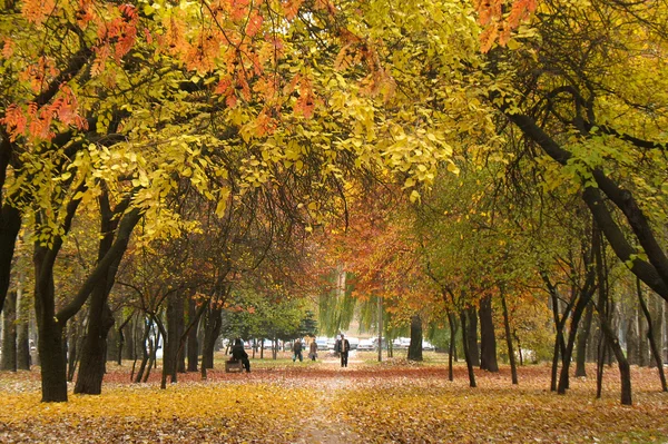 Avenue na podzim — Stock fotografie