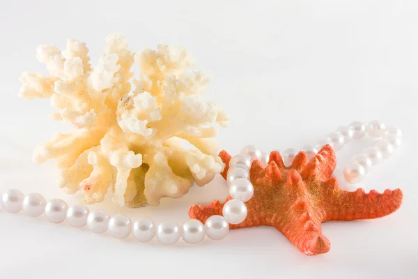 Coral, seastar and rope of pearls — Stock Photo, Image