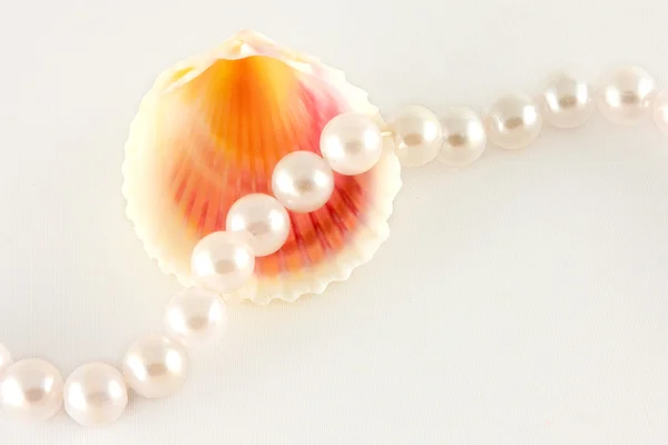 Shell and rope of pearls — Stock Photo, Image