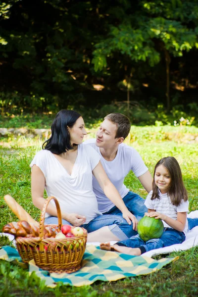 Piknik rodzinny w łące — Zdjęcie stockowe