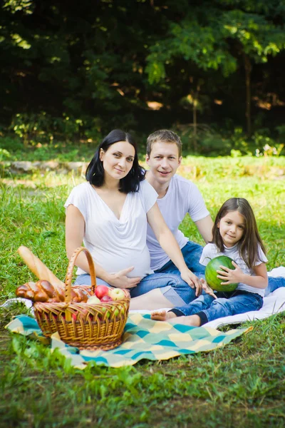 牧草地で家族でピクニック — ストック写真