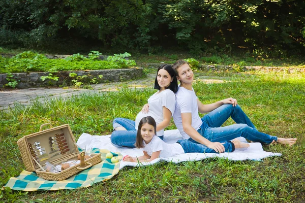 Rodinný piknik v parku — Stock fotografie