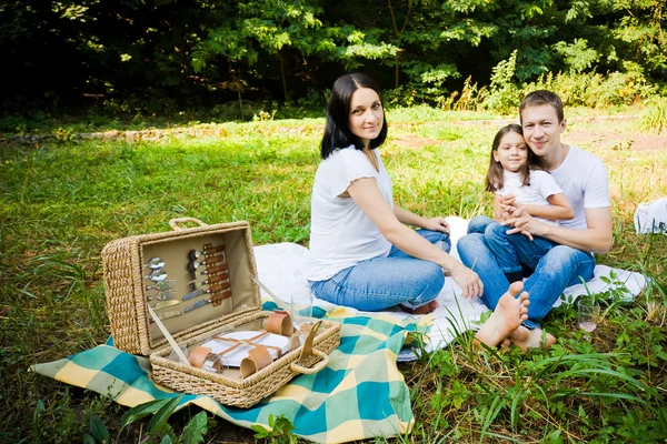 Family picnic in a park — Stock Photo, Image