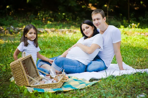 Aile pikniği — Stok fotoğraf