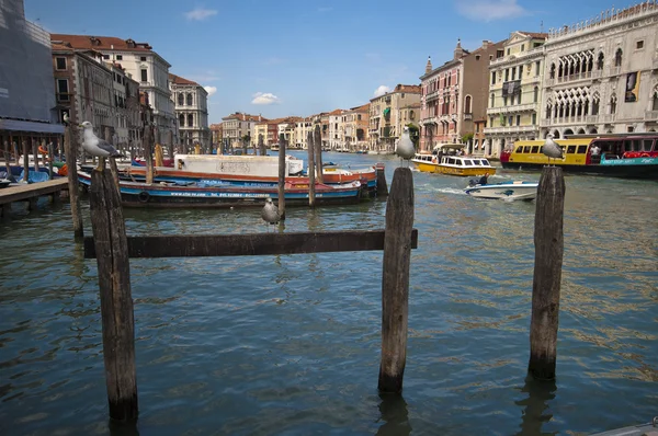 På Grande Canale - Stock-foto