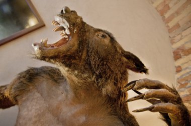 doldurulmuş canavar