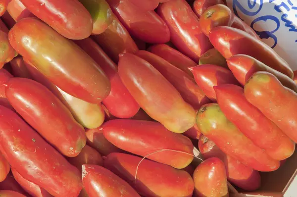 Comptoir de légumes — Photo