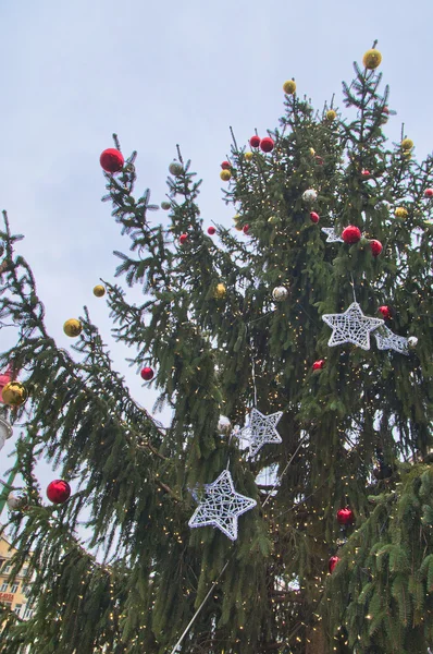Main Christmas Tree in Prague — Stock Photo, Image
