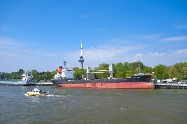 Längs nya Maas floden — Stockfoto