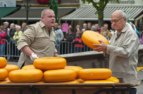 Sýrový trh v alkmaar — Stock fotografie
