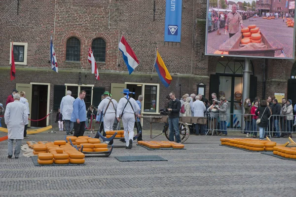 Alkmaar peynir pazarı — Stok fotoğraf
