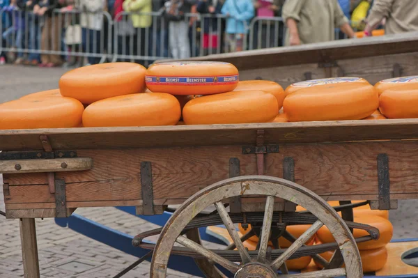 Cheese Market in Alkmaar — Stock Photo, Image