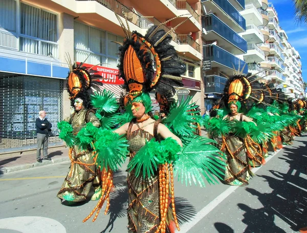 Carnaval — Fotografia de Stock