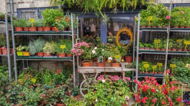 Festival de las Flores de Girona 