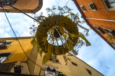 Festival de las Flores de Girona 