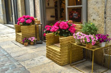 Festival de las Flores de Girona 
