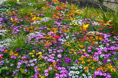 Festival de las Flores de Girona 