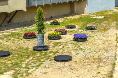 Festival de las Flores de Girona 