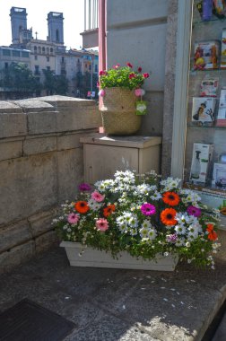 Festival de las Flores de Girona 
