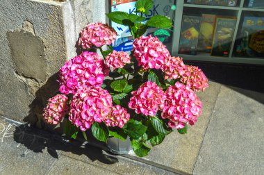 Festival de las Flores de Girona 