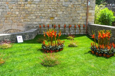 Festival de las Flores de Girona 