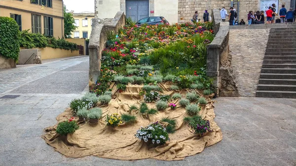 Festival de las Flores de Girona 