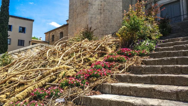 Festival Las Flores Girona Temps Flors Hiszpania Rok 2021 — Zdjęcie stockowe