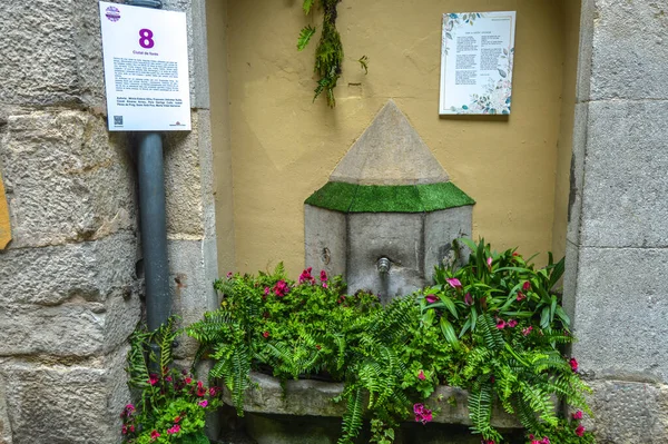 Festival de las Flores de Girona 