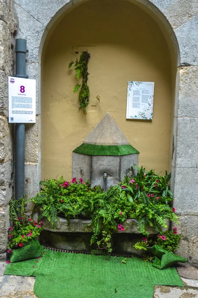 Festival de las Flores de Girona 