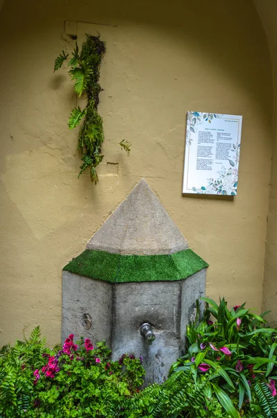 Festival de las Flores de Girona 