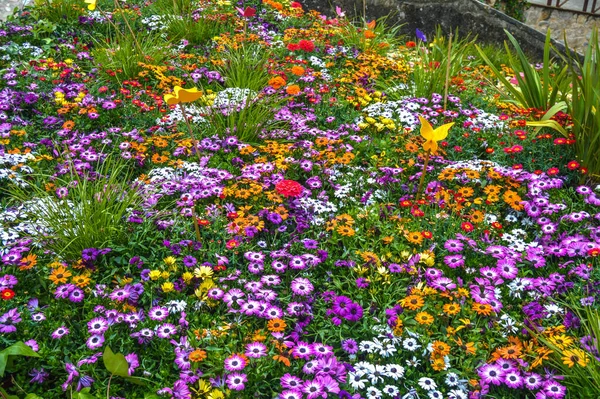 Festival Las Flores Girona Temps Flors Espaa 2021 Год — стоковое фото