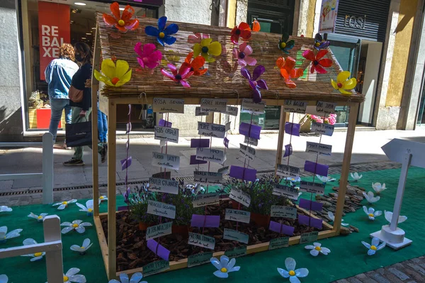 Festival de las Flores de Girona 