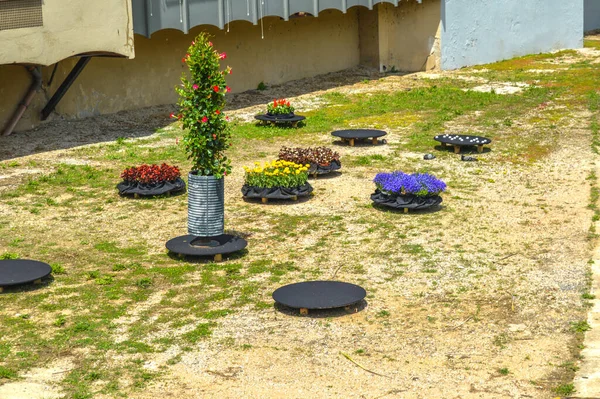 Festival de las Flores de Girona 