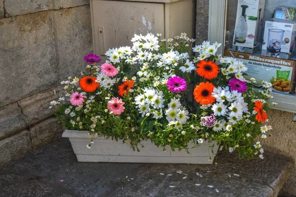 Festival de las Flores de Girona 
