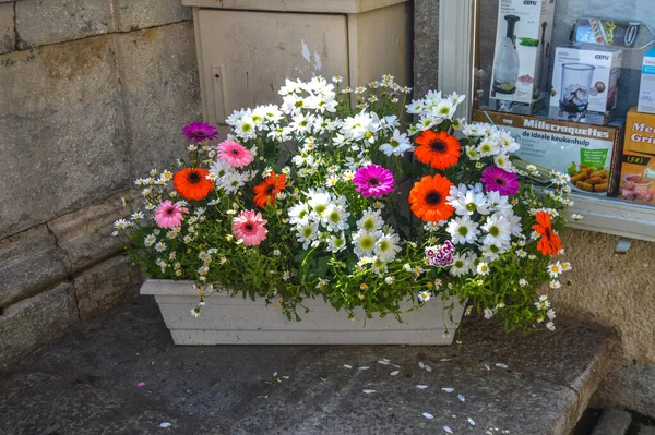 Festival de las Flores de Girona 