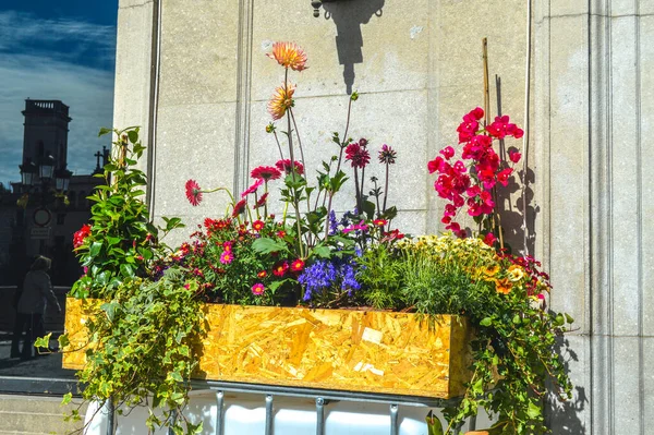 Festival de las Flores de Girona 