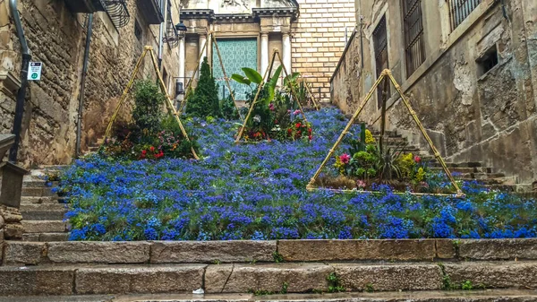 Festival de las Flores de Girona 