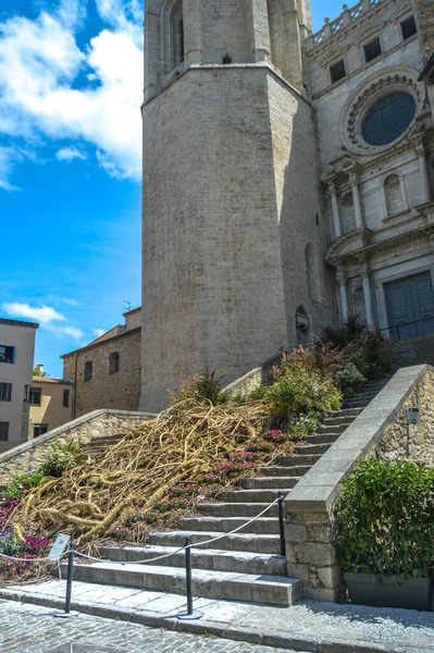Festival de las Flores de Girona 