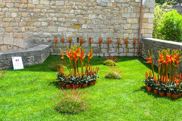 Festival de las Flores de Girona 