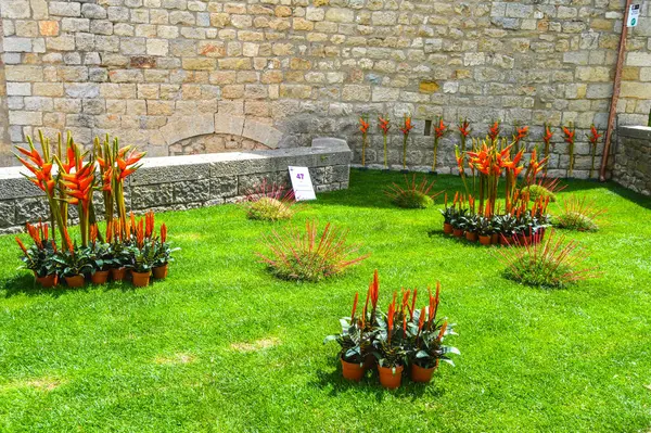 Festival de las Flores de Girona 