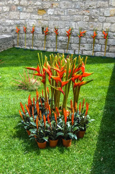 Festival de las Flores de Girona 