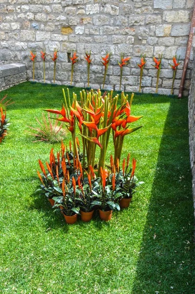 Festival de las Flores de Girona 