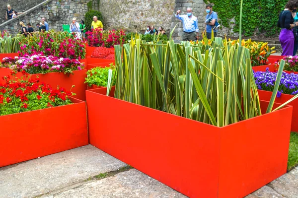 Festival de las Flores de Girona 