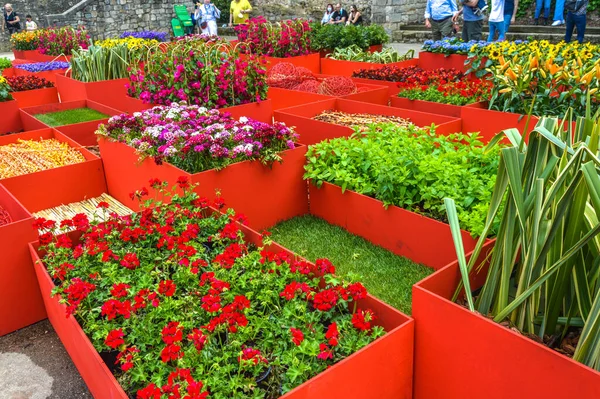 Festival de las Flores de Girona 
