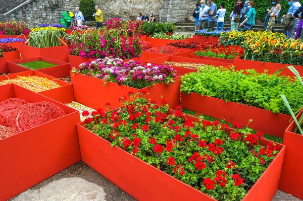 Festival de las Flores de Girona 