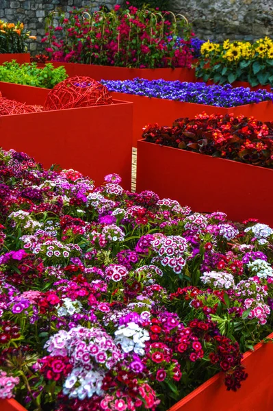 Festival de las Flores de Girona 