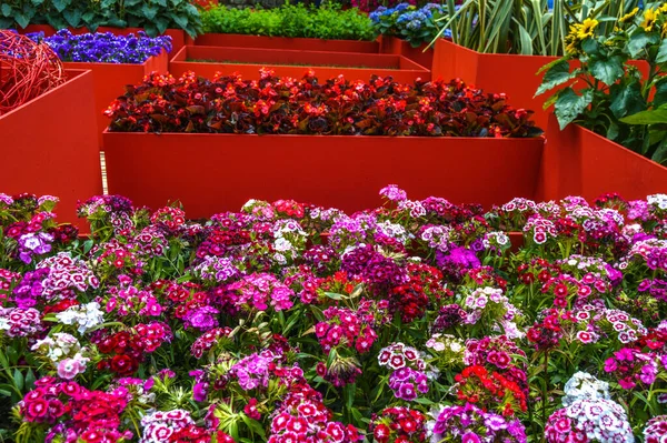 Festival de las Flores de Girona 