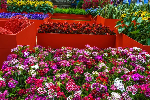 Festival Las Flores Girona Temps Flors Espaa 2021 — Stock Photo, Image