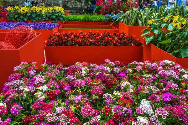 Festival de las Flores de Girona 