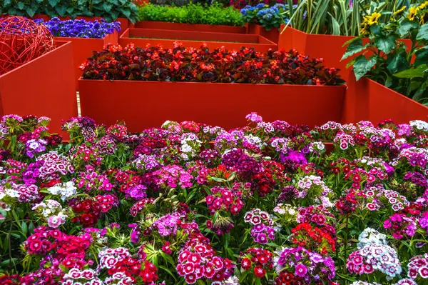 Festival de las Flores de Girona 